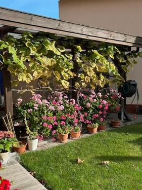 Foto - Einfamilienhaus in Hagenow zum Kaufen