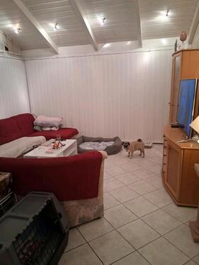 Foto - Einfamilienhaus in Ostrhauderfehn zur Miete