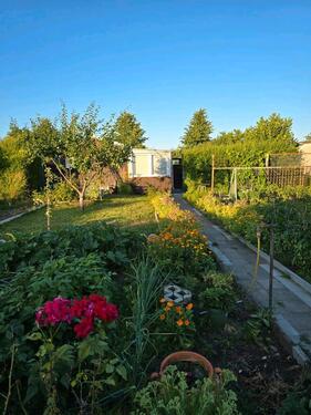 Foto - Grundst&uuml;ck in Burg