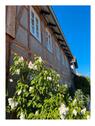 Foto - Stadthaus, saniertes Fachwerkhaus im Dorfkern BS-Stöckheim
