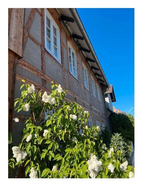 Foto - Stadthaus, saniertes Fachwerkhaus im Dorfkern BS-Stöckheim