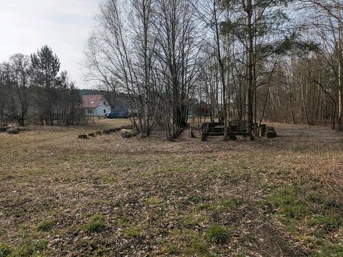 Foto - Grundst&uuml;ck zum Kaufen in Kemberg