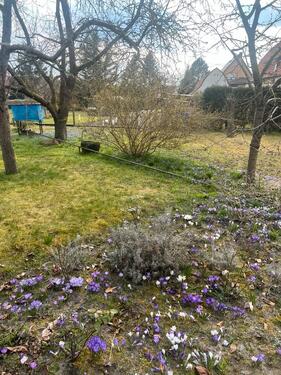 Foto - Grundstück zur Miete in Wittenberge