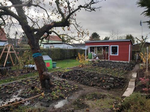 Foto - Garten 220m gepflegt in guter Lage mit Brunnenwasser