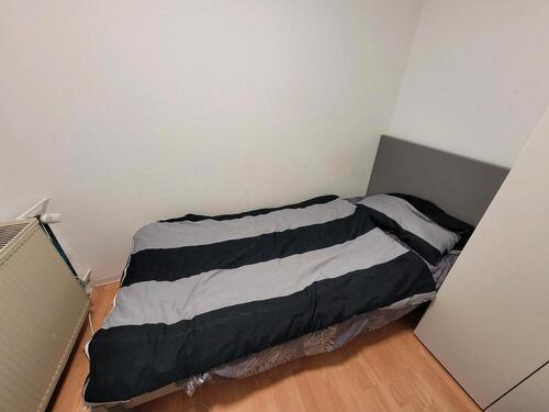 Foto - 9 Zimmer Etagenwohnung zur Miete in Ober-Ramstadt