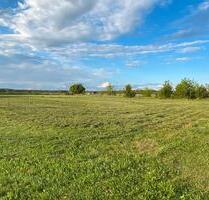 Bauträgerfreies Baugrundstück Blick auf Feld&Wald - Herzberg (Elster)