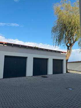 Foto - Erdgeschoßwohnung in Sonnenstein zur Miete