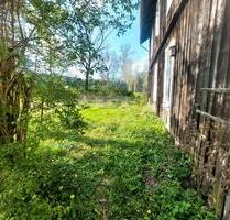 altes Forsthaus, wunderschöne Lage, großer Garten, - Willebadessen altes Forsthaus, wunderschöne Lage, großer Garten, - Willebadessen