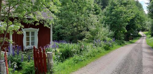 Foto - andere zur Miete in Eutin