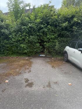 Foto - Stellplatz in Flensburg ab November 2025 zu vermieten