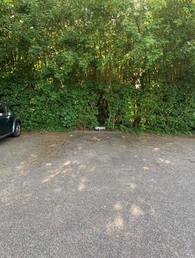 Foto - andere in Flensburg zur Miete