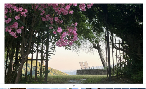 Foto - andere in Frankfurt am Main zur Miete