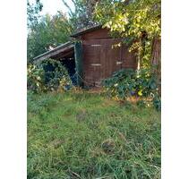 Grundstück zur Pacht - 150,00 EUR Kaltmiete, ca.  0,00 m² in Cottbus (PLZ: 03051) Gallinchen