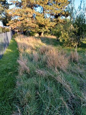 Foto - Grundstück in Cottbus