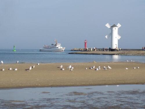 Foto - Fewo auf Usedom Swinoujscie PL ab 08.01.2026 noch freie Termine
