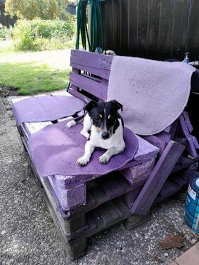 Foto - Haus am Bernsteinsee - 160.000,00&nbsp;EUR Kaufpreis, ca.&nbsp; 60,00&nbsp;m&sup2;