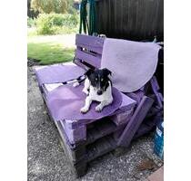 Haus am Bernsteinsee - 160.000,00&nbsp;EUR Kaufpreis, ca.&nbsp; 60,00&nbsp;m&sup2; in Sassenburg (PLZ: 38524)