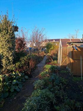 Foto - Grundstück in Lübben (Spreewald) zur Miete