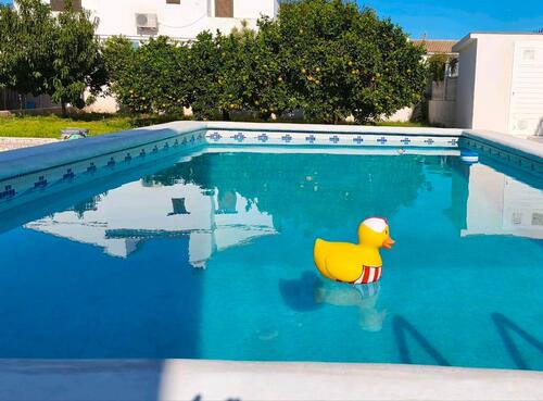 Foto - Ferienwohnung in Gandia Playa. Pool, Terrasse & Parkplatz