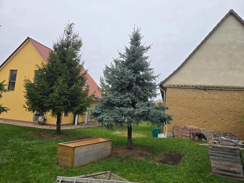 Foto - Bauernhof mit Neubau bei Leipzig