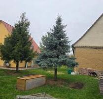 Bauernhof mit Neubau bei Leipzig - Delitzsch Bauernhof mit Neubau bei Leipzig - Delitzsch