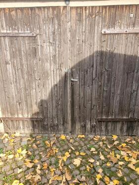 Foto - andere in Freital