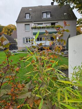 Foto - 3 Zimmer Etagenwohnung zur Miete in Gladbeck