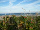 Foto - Ab sofort bis Ende Oktober frei Ostseebad Schönhagen 2 Personen