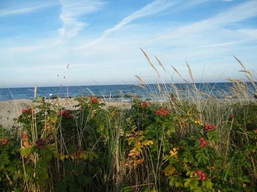Foto - Ab sofort bis Ende Oktober frei Ostseebad Schönhagen 2 Personen