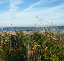 Ab sofort bis Ende Oktober frei Ostseebad Schönhagen 2 Personen - Kappeln