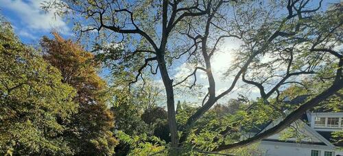 Foto - Exklusive private Vermietung in Köln-Marienburg mit Dachterrasse