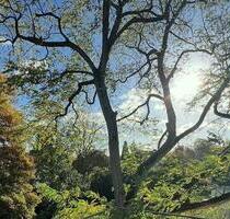 Exklusive private Vermietung in Köln-Marienburg mit Dachterrasse