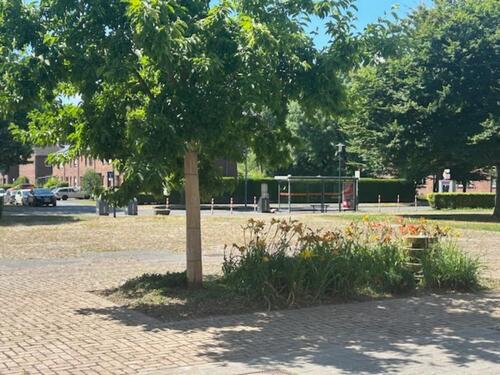 Foto - andere in Krefeld