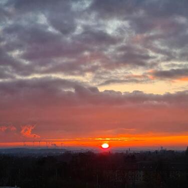 Foto - 2 Zimmer Einfamilienhaus in Braunschweig