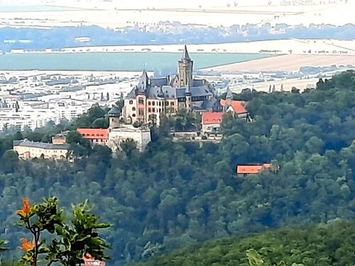 Foto - Ferienwohnung, Fewo, Apartment, Urlaub in WernigerodeHarz