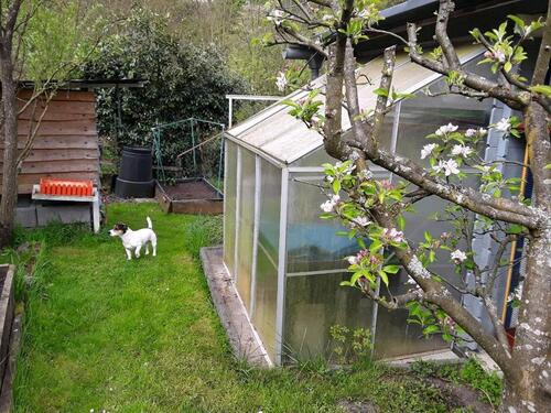 Foto - 5 Zimmer Einfamilienhaus in Schiffweiler