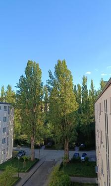 Foto - Etagenwohnung in Berlin zum Kaufen