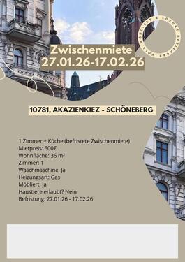 Foto - 1 Zimmer Wohnung auf Zeit - 27.01.-17.02.26