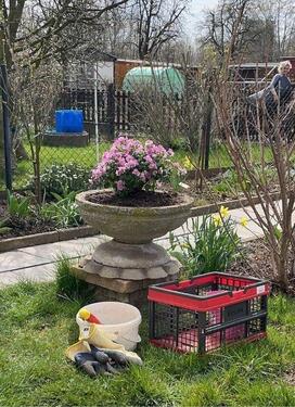 Foto - Grundst&uuml;ck in Dresden zur Miete