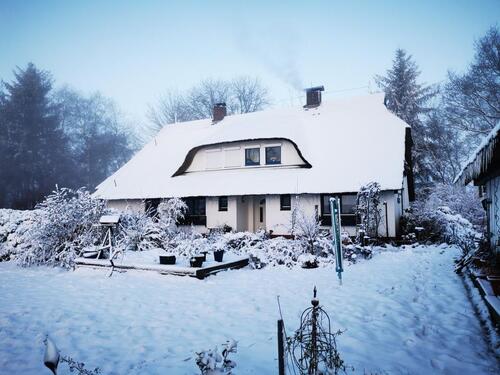 Foto - Weißes Reetdachhaus Nähe Rastede