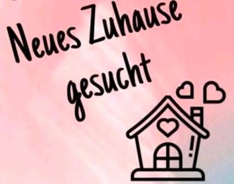 Foto - Wer kann uns eine Zukunft in Mainz geben?