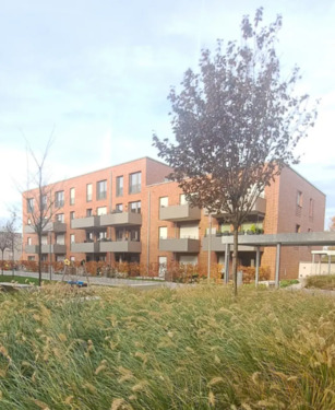 Foto - Große Neubauwohnung in Münster zu vermieten