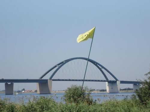 Foto - 