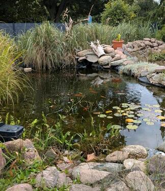Foto - Einfamilienhaus in Gnoien zum Kaufen