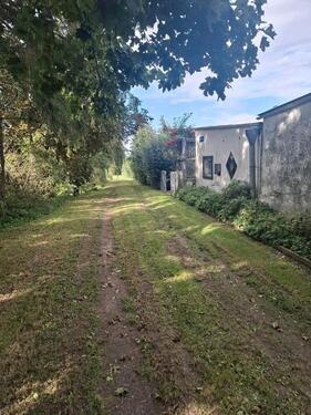 Foto - Einfamilienhaus in Lindetal zum Kaufen