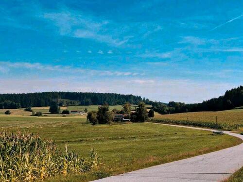 Foto - Sacherl Bauerhof Resthof in Alleinlage Bayrischer Wald