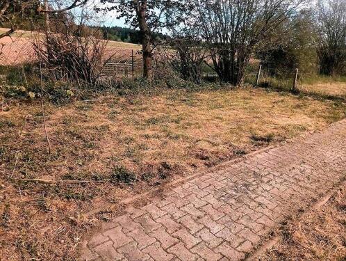 Foto - Bauernhaus, Landhaus in Regen zum Kaufen