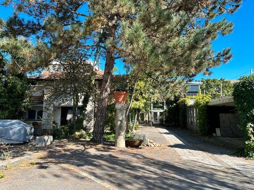 Foto - andere in Singen (Hohentwiel)