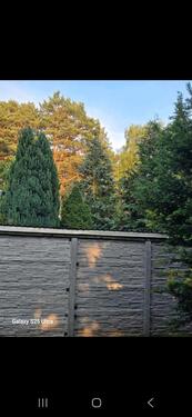 Foto - Einfamilienhaus in Mittenwalde zur Miete