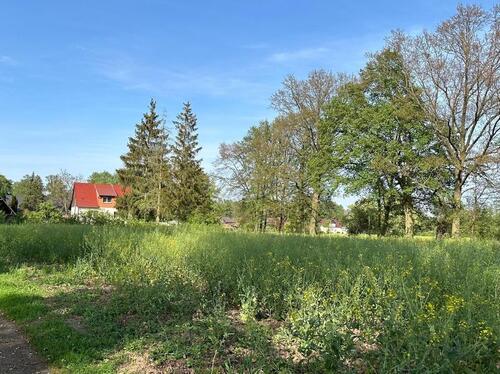 Foto - 5 Zimmer Einfamilienhaus zum Kaufen in Cottbus